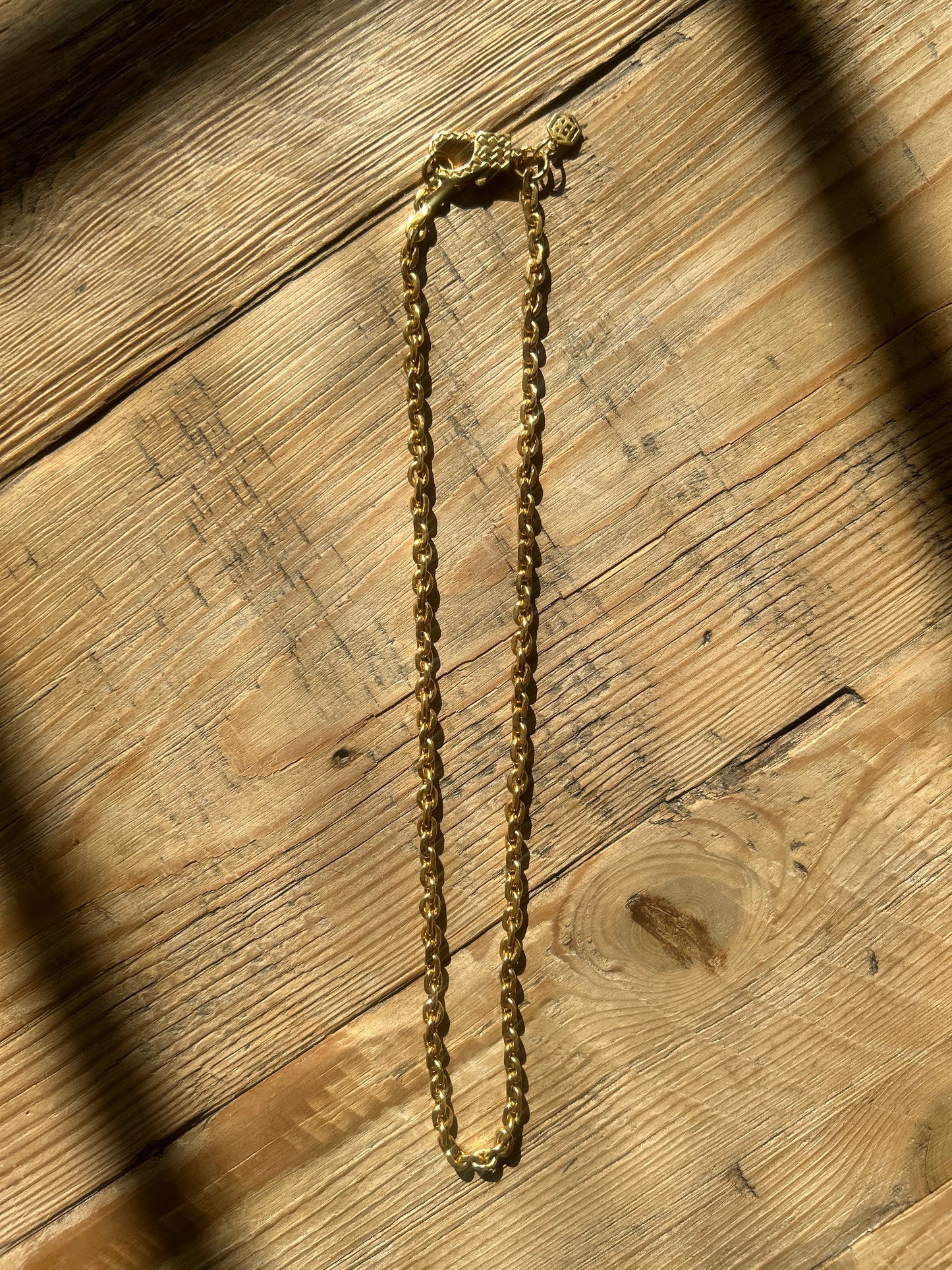 18kt Lion Chain